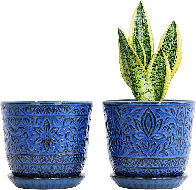 Gepege 6 Inch Ceramic Planter, Birthday by Gepege