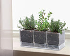 D'vine Dev Herb Garden Planter Set, Plastic Plant Pots - Image 4
