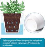 D'vine Dev 4 Inch Design Self Watering Planter - Image 4