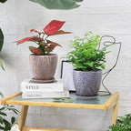 6 Inch Retro Ceramic Planter Set of 2 - Image 7