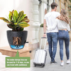 Large Self Watering Pots, 12/10/9 Plastic Planters - Image 6