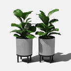 Veradek Demi Series Round Planter w/Stand - Image 9