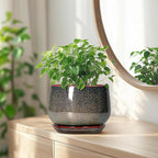 G EPGardening 7 Inch Ceramic Pots - Image 6
