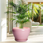 10 Inch Plant Pot - Image 4