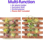 ShopLaLa Wall Planter - Image 6
