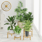 5 Pack Plant Stand Indoor Outdoor, Flower Pot Stand Plant Rack by Unknown