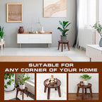 Demigo Indoor Plant Stand, Acacia Wooden Decorative Plant Shelf - Image 5
