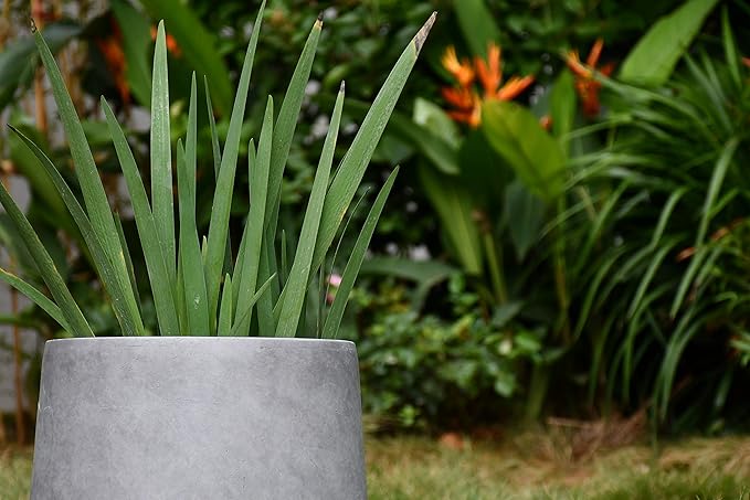 Kante 15.3" Dia Round Concrete Planter, Outdoor Indoor Large Plant Pots - Image 9