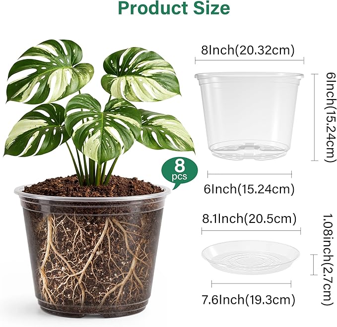8 Packs 8 Inch Reinforced Large Clear Nursery Pots - Image 2