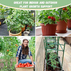 Legigo 8-Pack Tomato Cage for Garden Plant Support- Up to 48inch Garden Stakes - Image 7