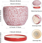 SQOWL Ceramic Planters for Indoor Plants - Image 3