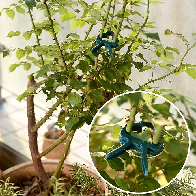 Plant Support Clips, Gardening Lever Loop Gripper Clips Help Stems Vines Grow - Image 5