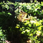 Solar Watering Can Lights, Outdoor Garden Decor, LED Waterproof String Light - Image 7