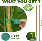 63 Inch Bendable Moss Pole Monstera Plant Support - Image 2