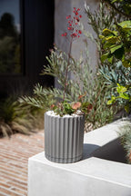 Veradek Demi Series Demi 6" Planter w/Tray - Image 4