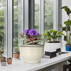 African Violet Pots Self Watering Round Ceramic Violet Pot - Image 8
