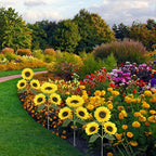 Solar Sunflower Lights, 800mA Solar Garden Light - Image 7