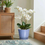 12 Inch Pots for Plants - Image 5
