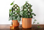 SuperMoss Plant Trellis - Image 6