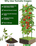 Tomato Cage, Raised Garden Bed Plant Support Stakes - Image 6