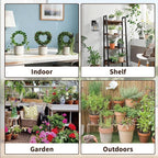 Indoor Climbing Plant Trellis - Image 5