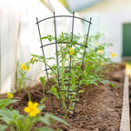 4 Pack 43'' Indoor Plant Trellis - Image 9