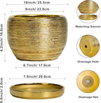 SQOWL Ceramic Planter for Indoor Plants - Image 3
