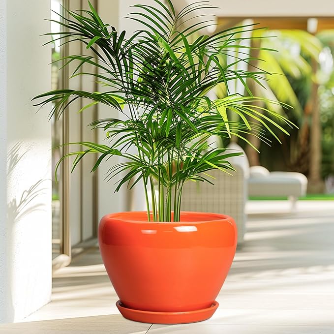 Ceramic Pot for Plants - Image 4