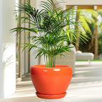 Ceramic Pot for Plants - Image 4