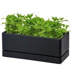 D'vine Dev 12 Inch Window Box Planter, Rectangle Plastic Herb Planter by DvineDevPlanterPotsandStand