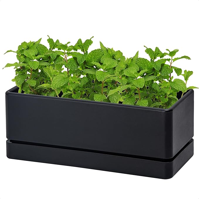 D'vine Dev 12 Inch Window Box Planter, Rectangle Plastic Herb Planter by DvineDevPlanterPotsandStand