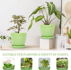 Plant Pots Indoor with Saucers & Drainage - Image 3