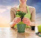 5 Inch Planter Pots, 6 Pack Indoor Planters, Small Flower Pots - Image 2