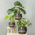 G EPGardening 7 Inch Ceramic Pots - Image 7