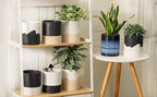 Nihow Self Watering Planter Accessory Set - Image 7