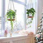 Hanging Planters for Indoor Plants - Image 5
