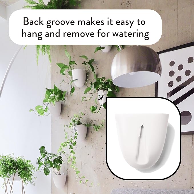 Make Good PlantPod Luxe Self-Watering Wall Planters - Image 4