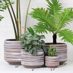 8 Inch + 6 Inch Ceramic Plant Pots Indoor - Image 7