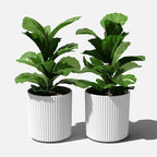 Veradek Demi Series Round Planter - Image 8