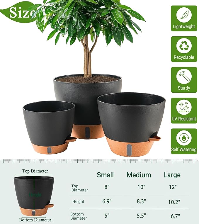 8/10/12 Inch Self Watering Pots - Image 3