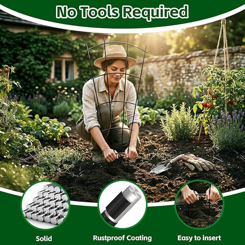 4 Pack 43'' Indoor Plant Trellis - Image 2