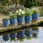 montresor 5-Pack 5/5.5/6/6.5/7 Inch Reservoir & Drainage Plastic Self Watering - Image 7