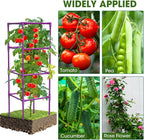 3 Pack Tomato Cages, Square Tomato Plant Stakes Support Cages Trellis - Image 6