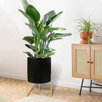 ARNIS Modern Plant Pots, Large Size Metal Pots - Image 7