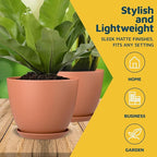 Terracotta Plant Pots with Drainage Holes & Saucers 5 Pack, Indoor & Outdoor - Image 3