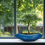 Bonsai Tree Pot 18 Inch - Image 8