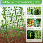 32 x 53 Inch Cucumber Trellis for Climbing Plants Outdoor A-Frame Garden - Image 7