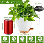 6 Inch Self Watering Pots for Indoor Plants – Small Plastic Planters - Image 6