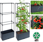 2 Packs Raised Garden Bed Tomato Planter Box by Biotolot
