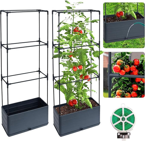 2 Packs Raised Garden Bed Tomato Planter Box by Biotolot